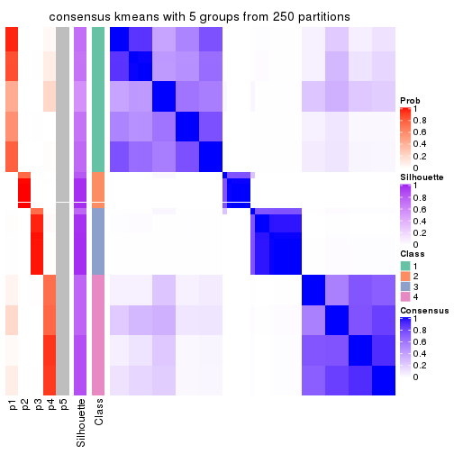 plot of chunk tab-SD-kmeans-consensus-heatmap-4