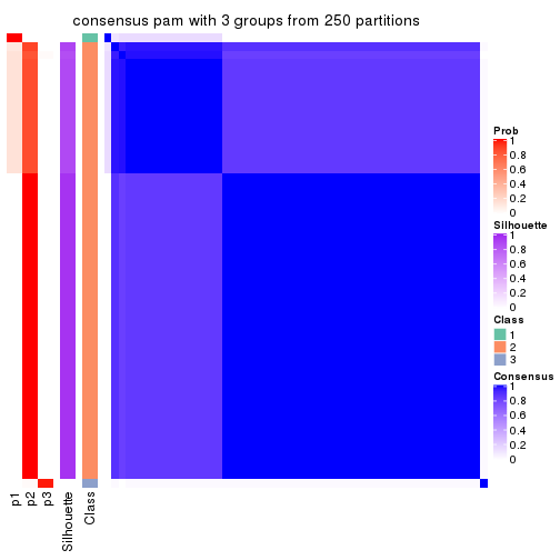 plot of chunk tab-CV-pam-consensus-heatmap-2