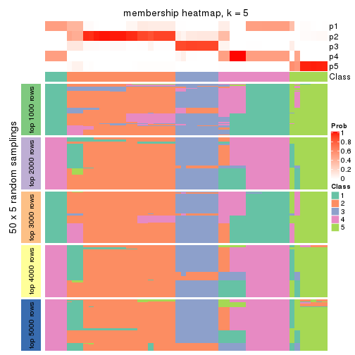 plot of chunk tab-MAD-kmeans-membership-heatmap-4