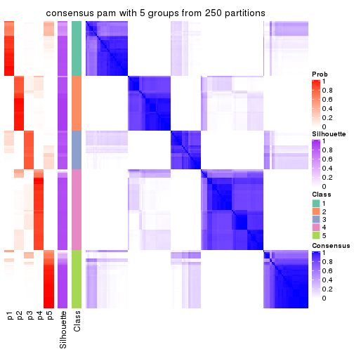 plot of chunk tab-MAD-pam-consensus-heatmap-4
