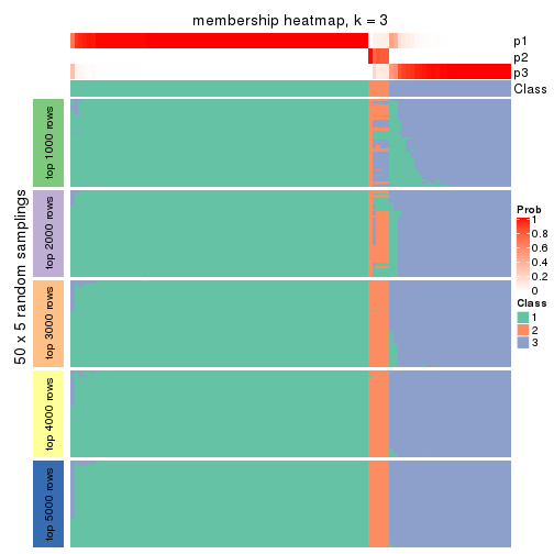 plot of chunk tab-ATC-NMF-membership-heatmap-2