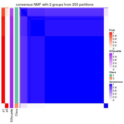 plot of chunk tab-SD-NMF-consensus-heatmap-1