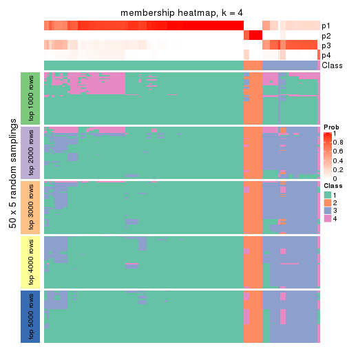 plot of chunk tab-SD-hclust-membership-heatmap-3