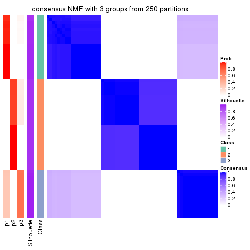 plot of chunk tab-CV-NMF-consensus-heatmap-2