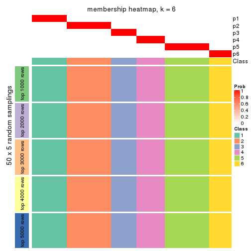 plot of chunk tab-SD-pam-membership-heatmap-5