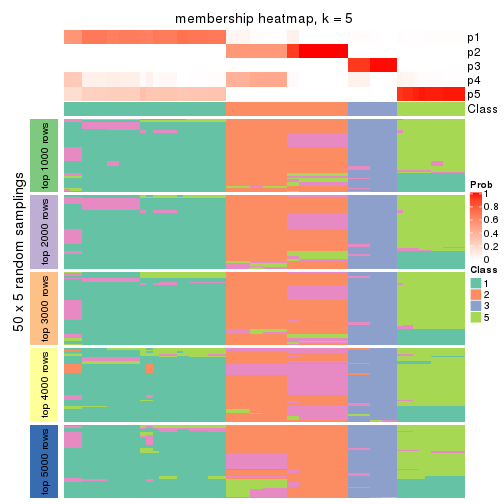 plot of chunk tab-CV-kmeans-membership-heatmap-4