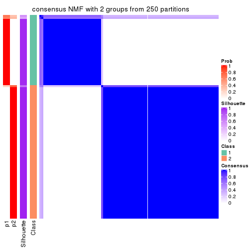 plot of chunk tab-ATC-NMF-consensus-heatmap-1