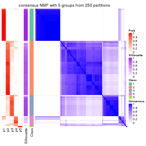 plot of chunk tab-ATC-NMF-consensus-heatmap-4