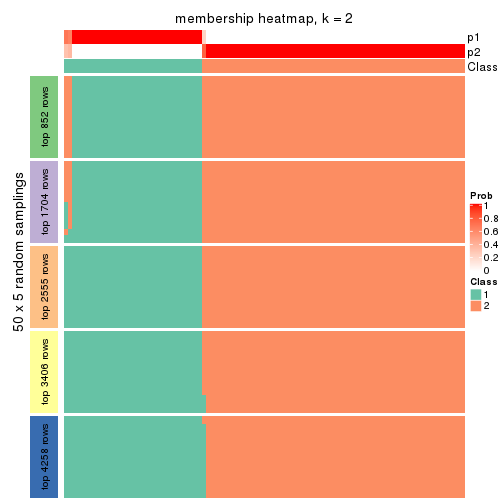 plot of chunk tab-ATC-NMF-membership-heatmap-1