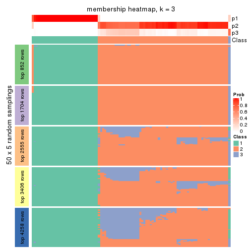 plot of chunk tab-ATC-NMF-membership-heatmap-2