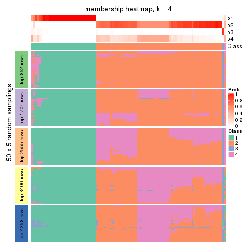 plot of chunk tab-ATC-NMF-membership-heatmap-3