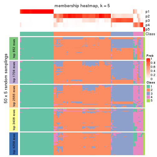 plot of chunk tab-ATC-NMF-membership-heatmap-4