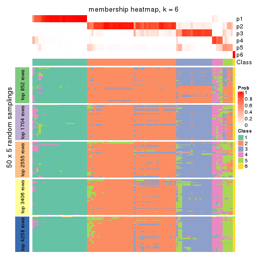 plot of chunk tab-ATC-NMF-membership-heatmap-5