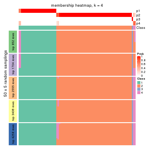 plot of chunk tab-ATC-hclust-membership-heatmap-3