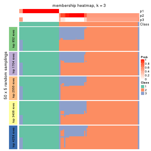 plot of chunk tab-ATC-kmeans-membership-heatmap-2