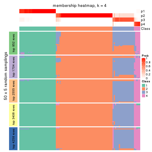 plot of chunk tab-ATC-kmeans-membership-heatmap-3