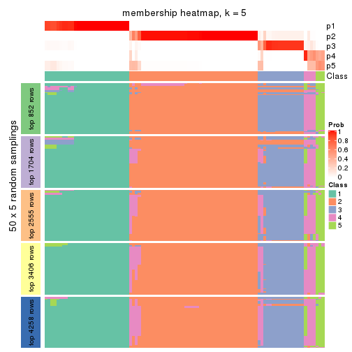 plot of chunk tab-ATC-kmeans-membership-heatmap-4