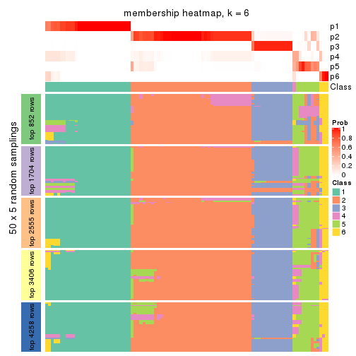 plot of chunk tab-ATC-kmeans-membership-heatmap-5