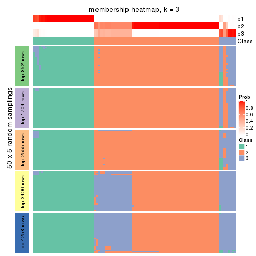 plot of chunk tab-ATC-mclust-membership-heatmap-2