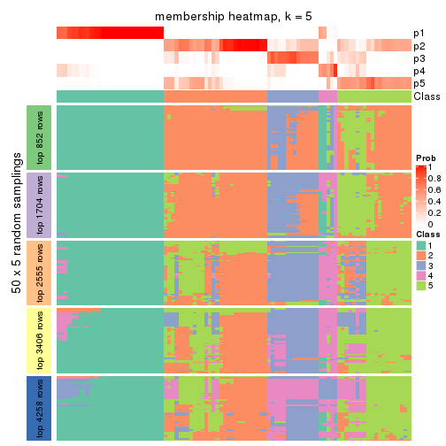 plot of chunk tab-ATC-mclust-membership-heatmap-4