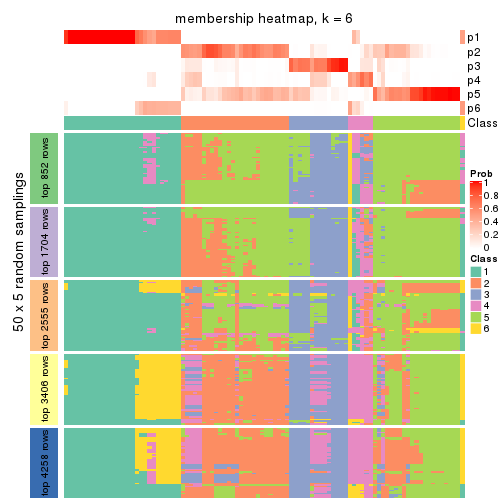 plot of chunk tab-ATC-mclust-membership-heatmap-5