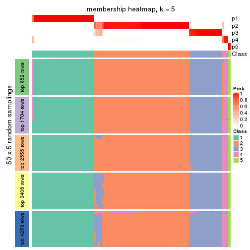 plot of chunk tab-ATC-pam-membership-heatmap-4