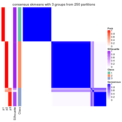 plot of chunk tab-ATC-skmeans-consensus-heatmap-2