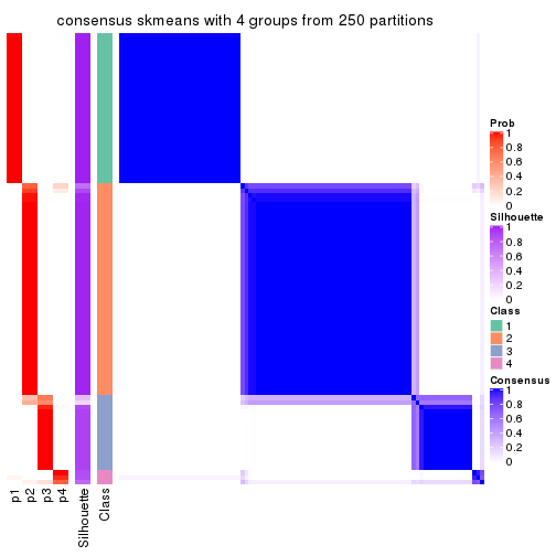 plot of chunk tab-ATC-skmeans-consensus-heatmap-3