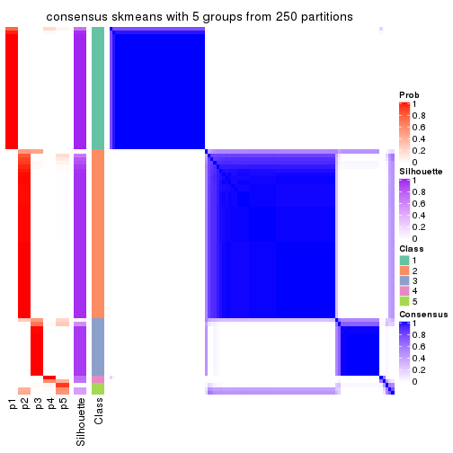 plot of chunk tab-ATC-skmeans-consensus-heatmap-4