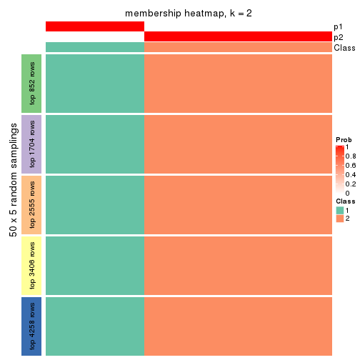 plot of chunk tab-ATC-skmeans-membership-heatmap-1