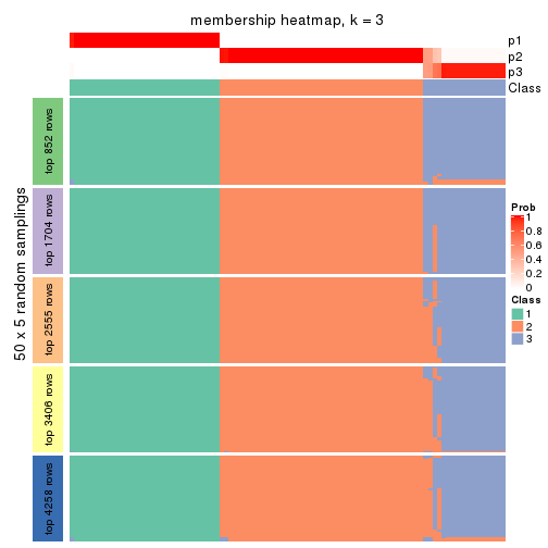 plot of chunk tab-ATC-skmeans-membership-heatmap-2