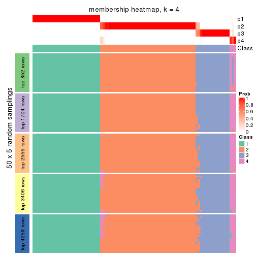 plot of chunk tab-ATC-skmeans-membership-heatmap-3