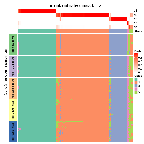 plot of chunk tab-ATC-skmeans-membership-heatmap-4