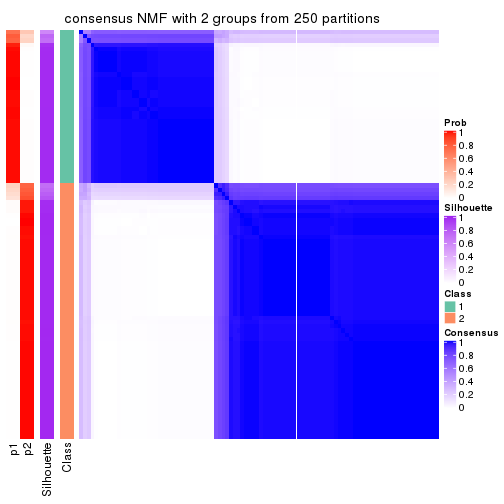 plot of chunk tab-CV-NMF-consensus-heatmap-1