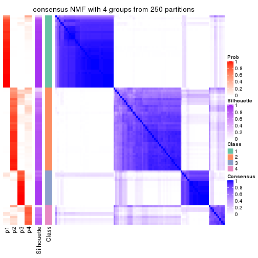 plot of chunk tab-CV-NMF-consensus-heatmap-3