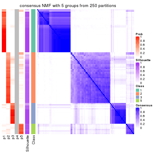 plot of chunk tab-CV-NMF-consensus-heatmap-4