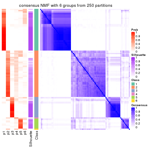 plot of chunk tab-CV-NMF-consensus-heatmap-5