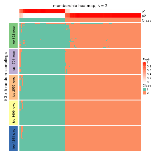 plot of chunk tab-CV-NMF-membership-heatmap-1