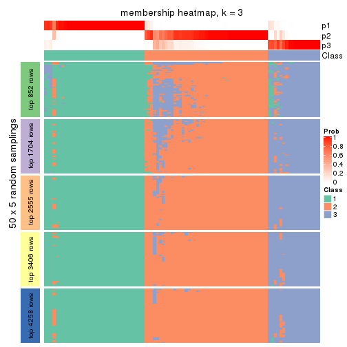 plot of chunk tab-CV-NMF-membership-heatmap-2