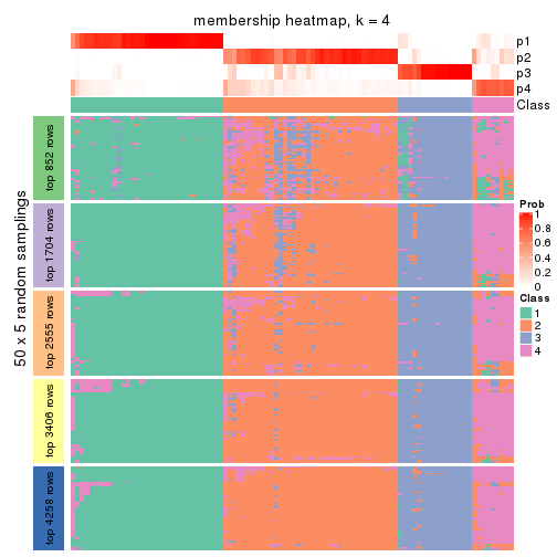 plot of chunk tab-CV-NMF-membership-heatmap-3