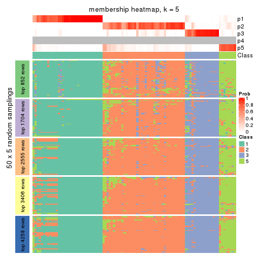 plot of chunk tab-CV-NMF-membership-heatmap-4