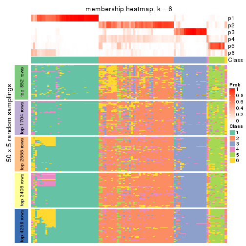 plot of chunk tab-CV-NMF-membership-heatmap-5