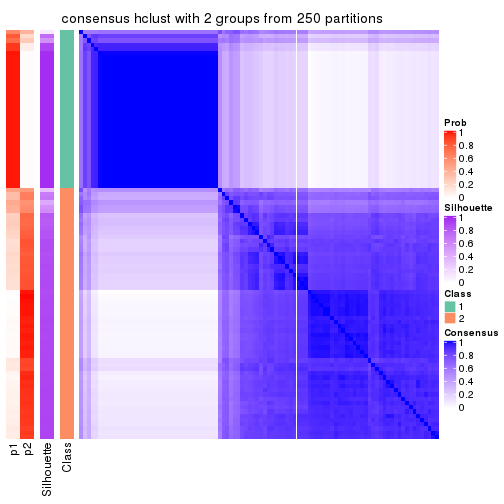 plot of chunk tab-CV-hclust-consensus-heatmap-1