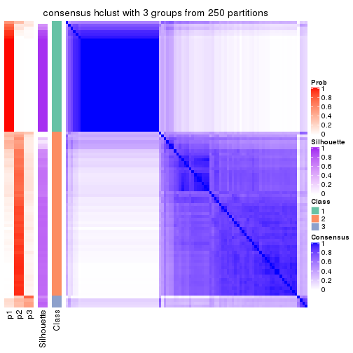 plot of chunk tab-CV-hclust-consensus-heatmap-2