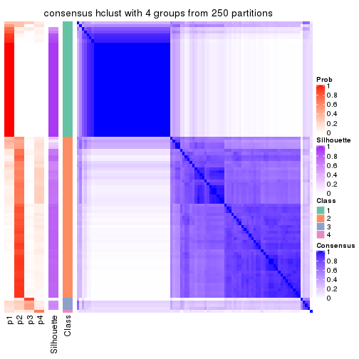 plot of chunk tab-CV-hclust-consensus-heatmap-3