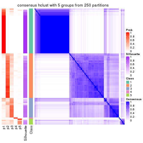 plot of chunk tab-CV-hclust-consensus-heatmap-4