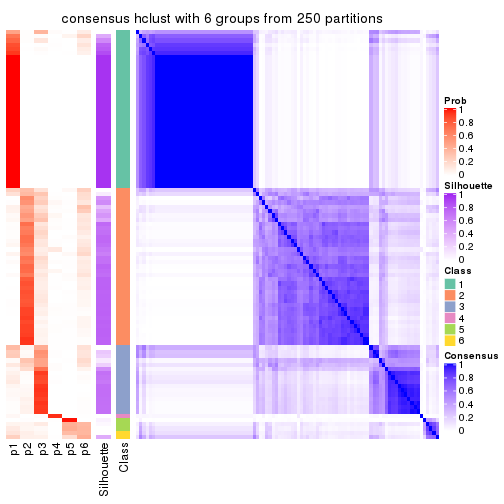 plot of chunk tab-CV-hclust-consensus-heatmap-5