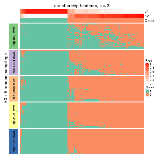 plot of chunk tab-CV-hclust-membership-heatmap-1