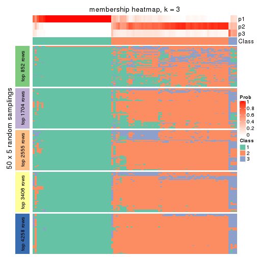 plot of chunk tab-CV-hclust-membership-heatmap-2