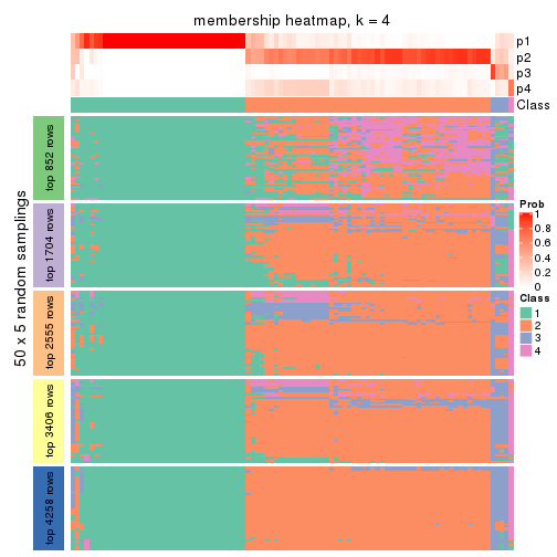 plot of chunk tab-CV-hclust-membership-heatmap-3